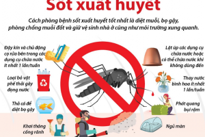 NHỮNG ĐIỀU CẦN BIẾT ĐỂ PHÒNG CHỐNG SỐT XUẤT HUYẾT