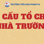 CƠ CẤU TỔ CHỨC NHÀ TRƯỜNG NĂM HỌC 2024 – 2025