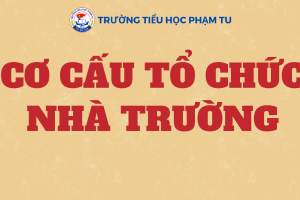 CƠ CẤU TỔ CHỨC NHÀ TRƯỜNG NĂM HỌC 2023 – 2024