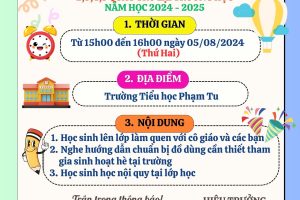 CHƯƠNG TRÌNH ĐÓN HỌC SINH KHỐI LỚP 2,3,4,5 QUAY TRỞ LẠI TRƯỜNG HỌC NĂM HỌC 2024-2025